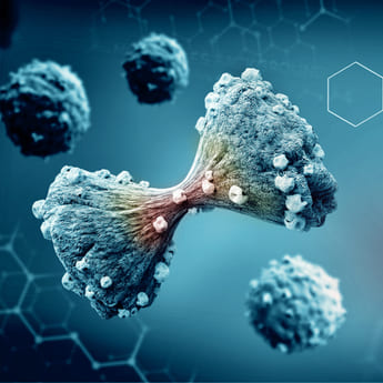 Econometric Analysis Of Biopharmaceutical Transfer Pricing