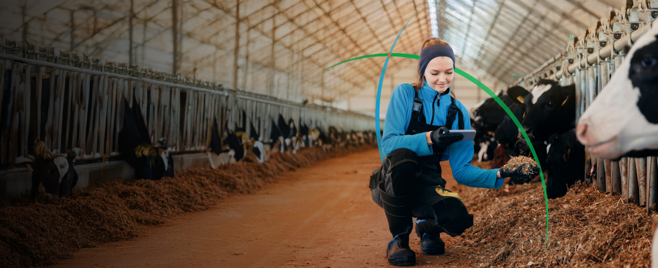 banner showing a smiling woman looking at her phone while feeding a cow in a shed