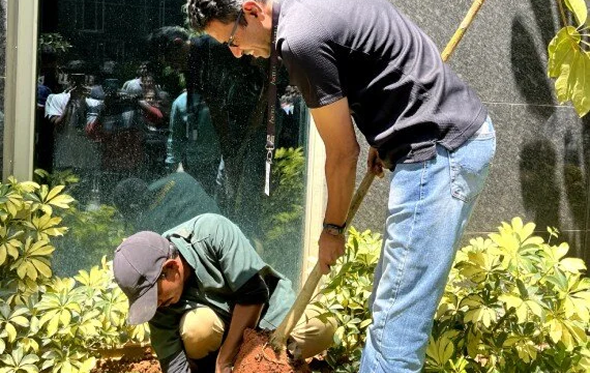 two men planting trees on a sunny day